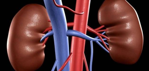 أعراض مرض الكلى أعراض مرض الكلى