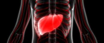 أسباب ظهور أكياس على الكبد 