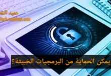 كيف يمكن الحماية من البرمجيات الخبيثة