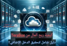 كيفية ربح المال من TeraBox: دليل شامل لتحقيق الدخل الإضافي