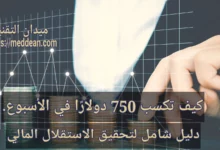 كيف تكسب 750 دولارًا في الأسبوع: دليل شامل لتحقيق الاستقلال المالي