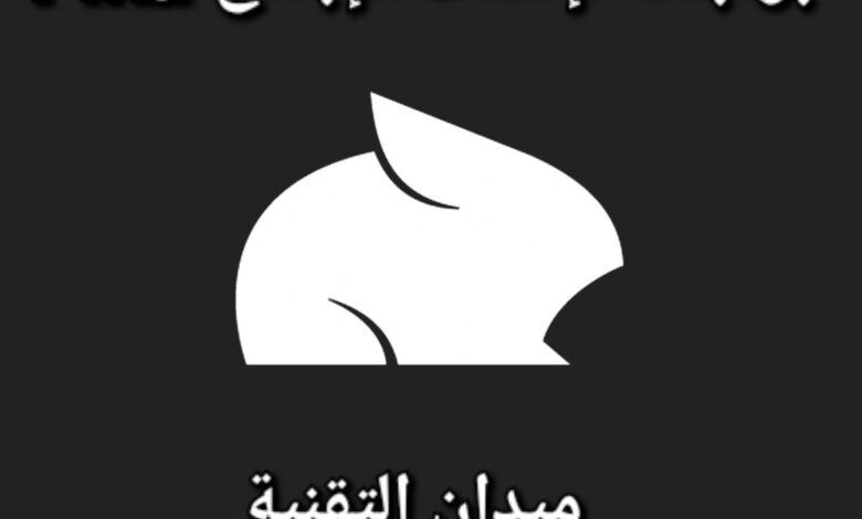 Pika بوابة إبداعية لإنشاء محتوى رسومي مذهل