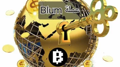 عملة BLUM منصة تبادل هجينة مبتكرة لتداول العملات الرقمية عبر سلاسل مختلفة