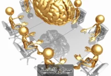 Vegavid Technology هي شركة رائدة في مجال التحول الرقمي