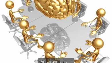 Vegavid Technology هي شركة رائدة في مجال التحول الرقمي