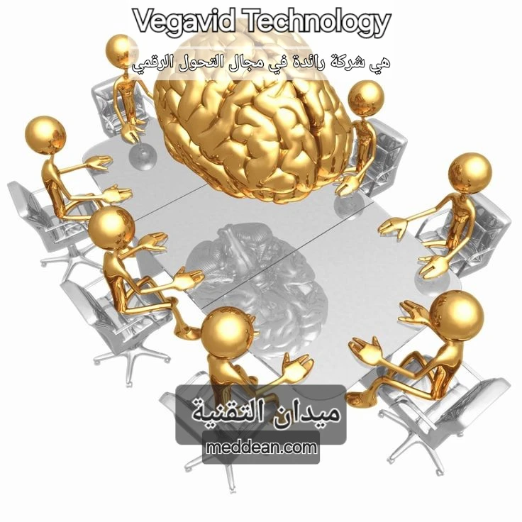 Vegavid Technology هي شركة رائدة في مجال التحول الرقمي