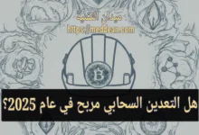 هل التعدين السحابي مربح في عام 2025؟